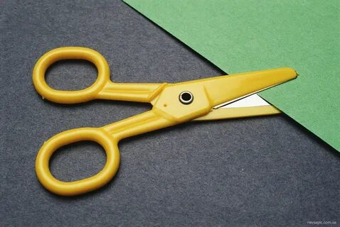 Likes scissors