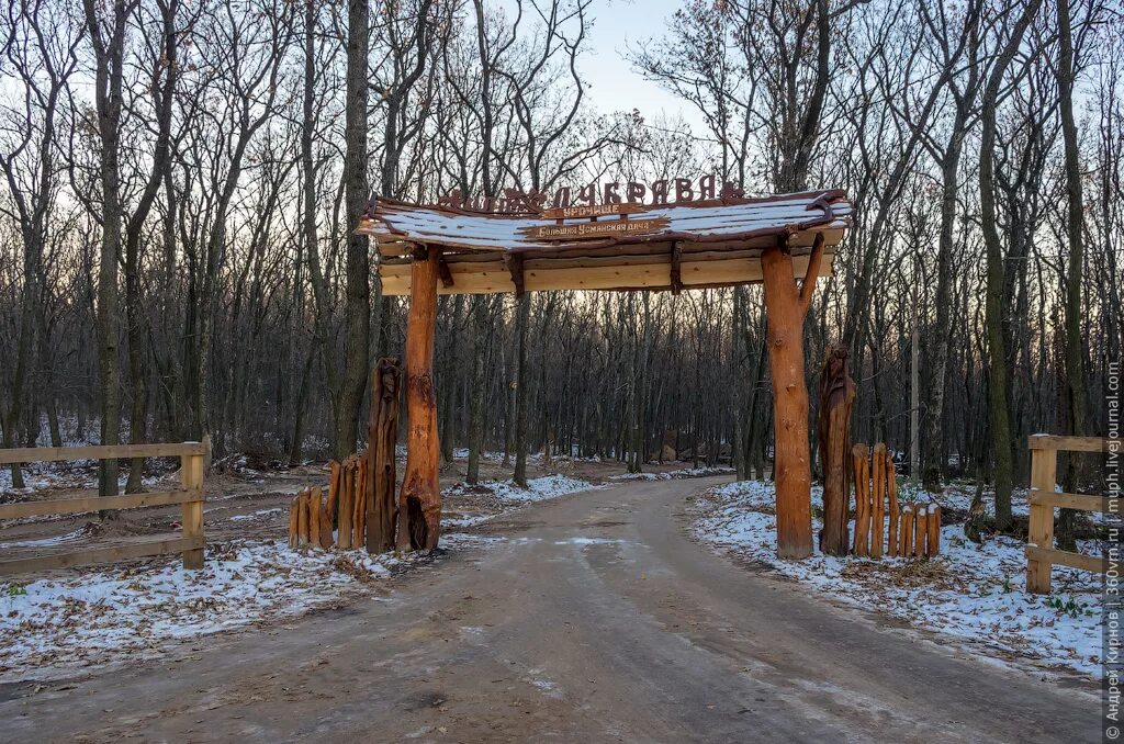 Новая усмань парк дубрава. Парк дубрава в новой усмани. Лыжероллерная трасса дубрава новая усмань. Лыжероллерная трасса дубрава новая усмань. Лес дубрава новая усмань.