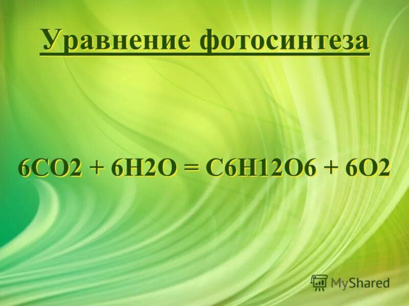 Co2 h2o фотосинтез. Общее уравнение фотосинтеза. Уравнение фотосинтеза и хемосинтеза. Суммарное уравнение процесса хемосинтеза.