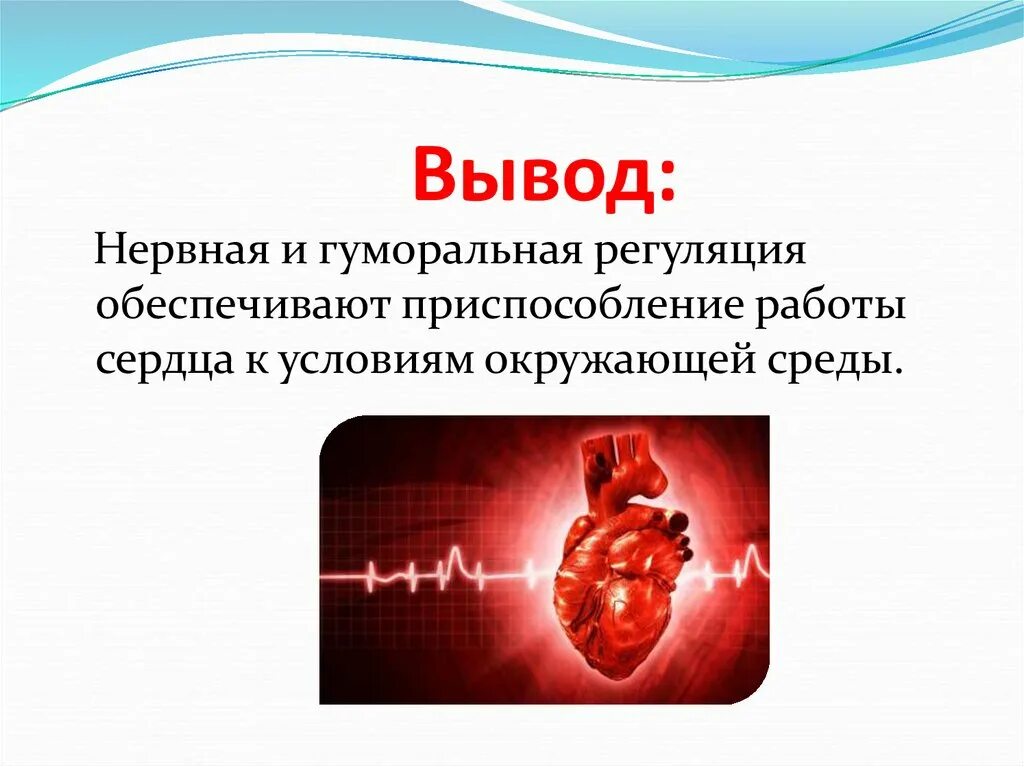 Гуморальная регуляция работы сердца осуществляется. Нервная и гуморальная регуляция сердечной деятельности. Вывод регуляция работы сердца. Гуморальная регуляция деятельности сердца. Нераная и гумооальнаярегуляция деятельности сердца.