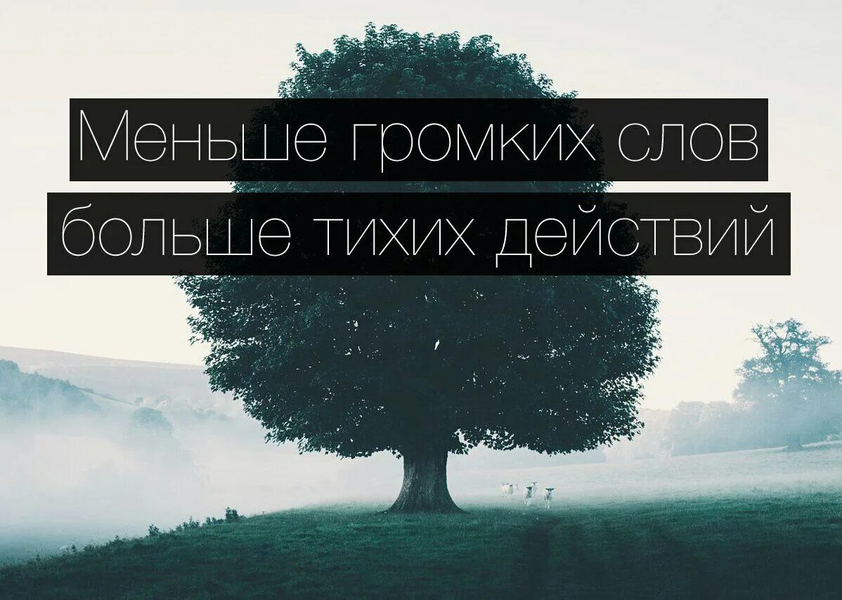 Не нужно больше слов песня. Меньше слов больше действий. Меньше слов больше дела. Громкие слова цитаты. Меньше слов больше дела цитаты.