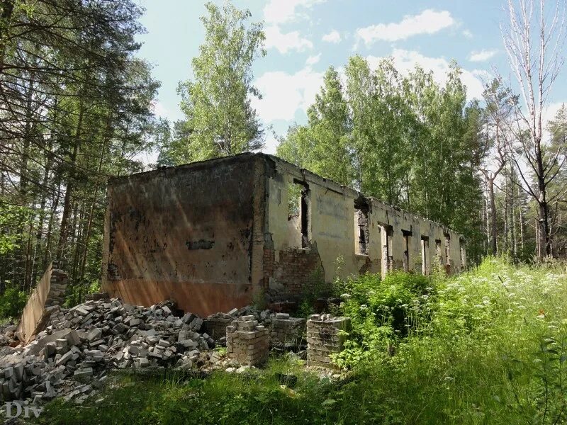 Дол маяк ленинградская. Пионерский лагерь Маяк Ленинградская область. Маяк детский лагерь Вырица. Заброшенный лагерь Маяк в Ленинградской области. Дол Маяк Ладожское озеро.