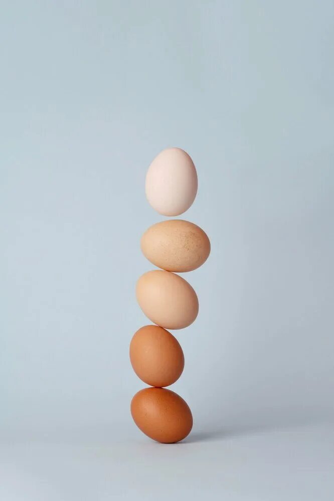 Яйцо. Яйцо куриное. Яйца с1. Яйца фото. Включи яйца 1