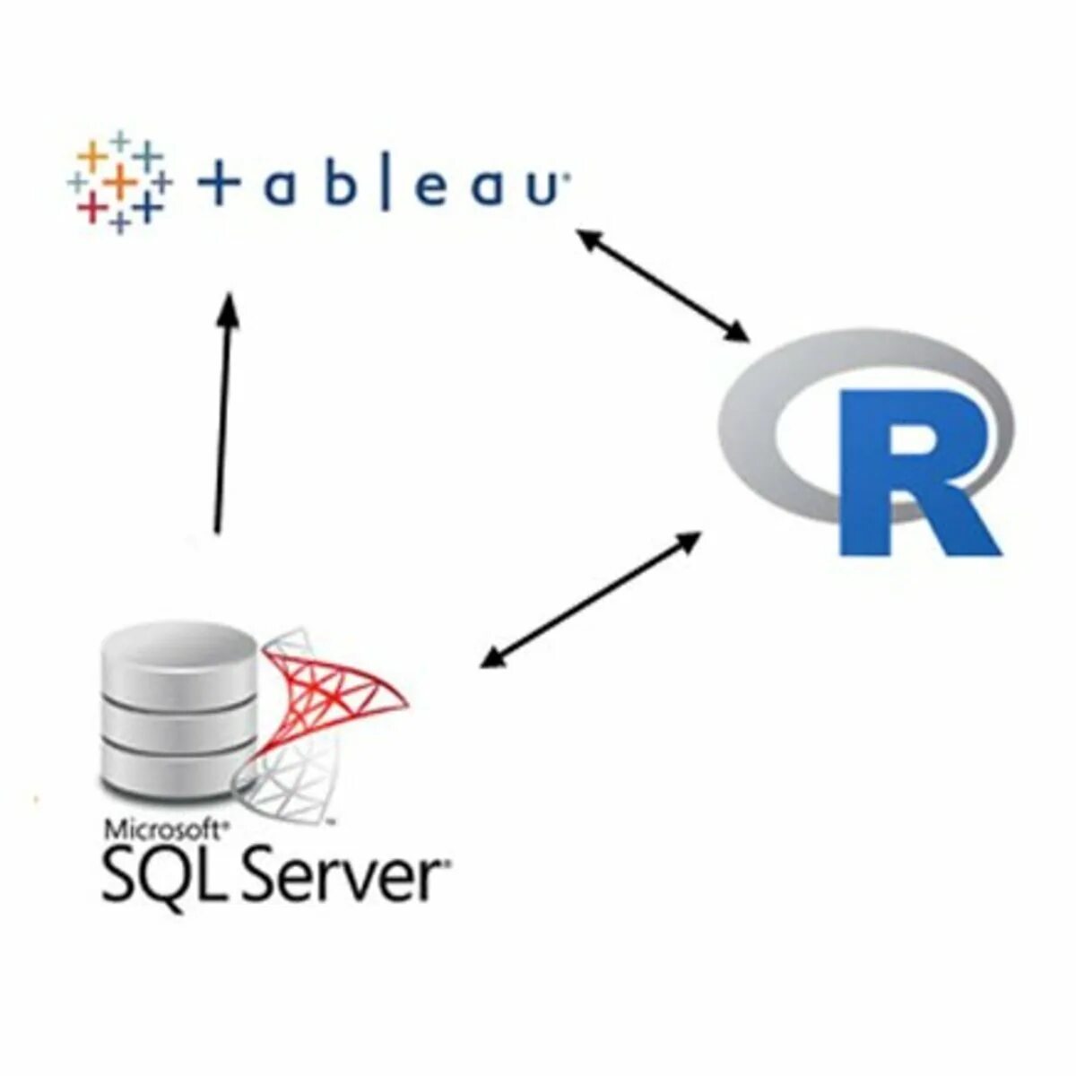 R mysql