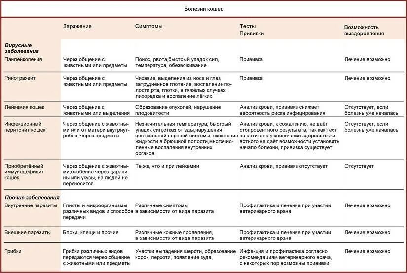 Сколько заразные после коронавируса. Вирусные болезни кошек таблица. Болезни у кошек в таблице. Схема лечения вирусных заболеваний у кошек. Дифференциальная диагностика инфекционных болезней собак и кошек.