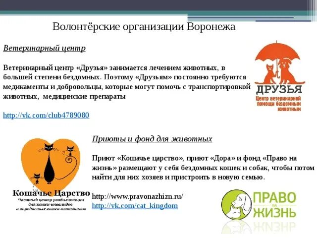 Список волонтерских организаций. Волонтеры список организаций. Волонтерские организации список. Организации по волонтерству для собак. Волонтерская деятельность сотрудников.