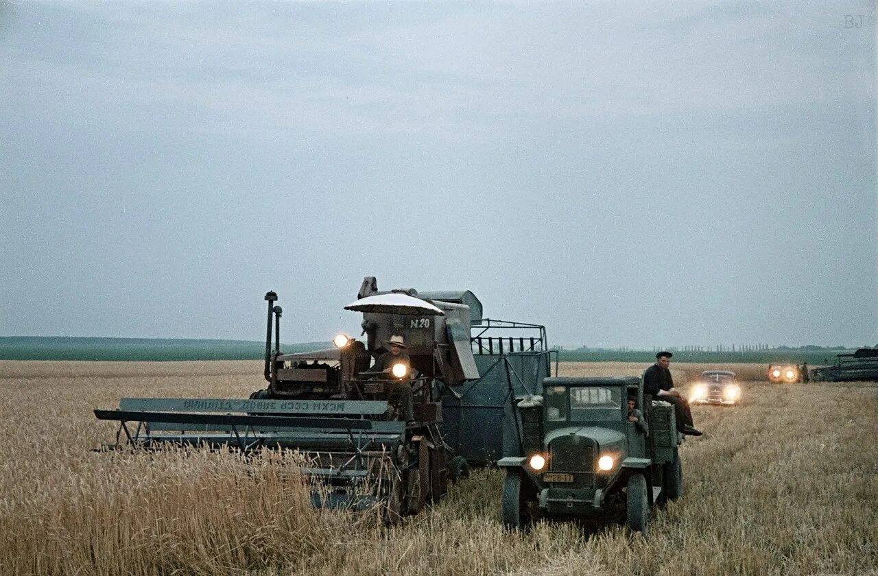 Колхозный газ 53 уборке зерновых. Советская уборочная страда ссср. Уборочная колхозах. Уборочная колхозах. Уборочная в ссср.