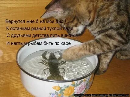 Приму ванну выпью чашечку кофе