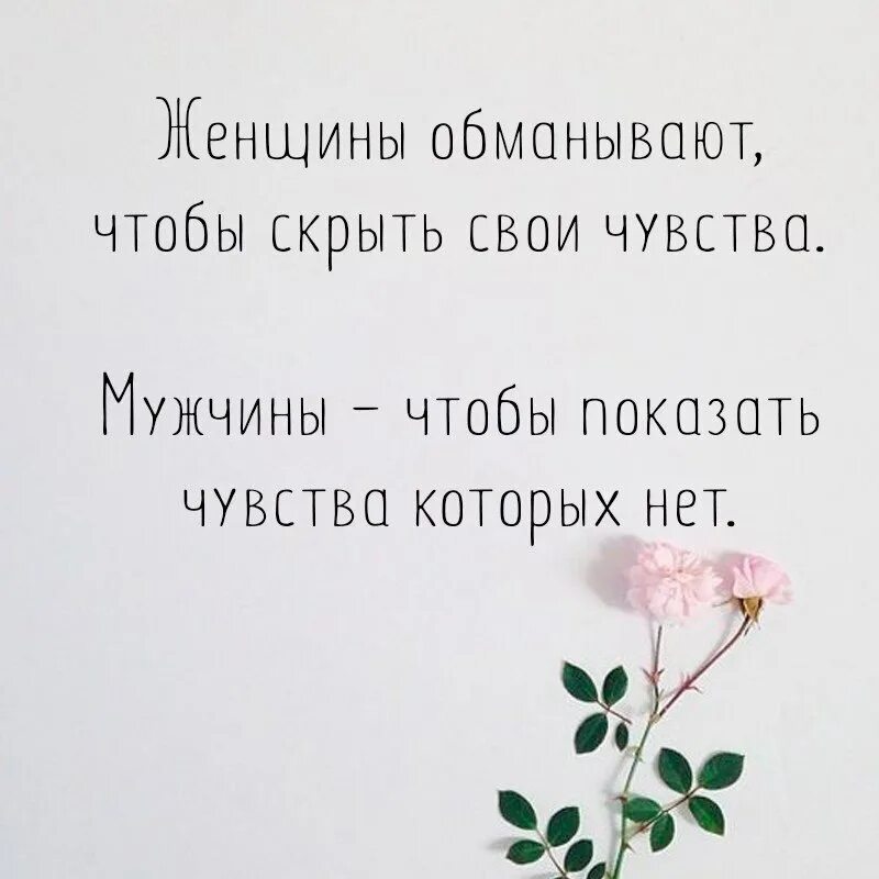 Песня почему я тебя не ревную. Афоризмы про нежность. Нежные цитаты. Нежность цитаты. Красивые цитаты о нежности.