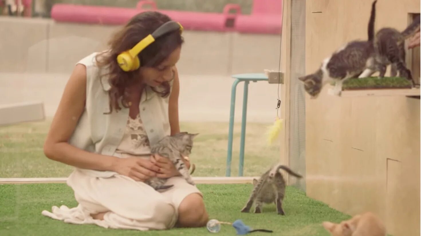 I started working at the animal shelter. Animal shelter: prologue. I started working at the animal shelter. I started working at the animal shelter. A dog in a cage.