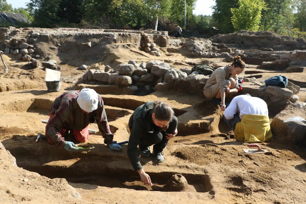 Археологические раскопки. Arxeologicheskie isledovaniya. Провести археологические раскопки