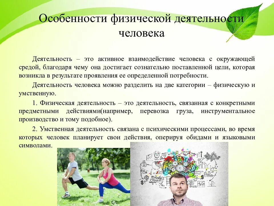 Человеческая активность. Взаимосвязь умственной и физической. Взаимосвязь физической и умственной деятельности человека. Физическая и интеллектуальная активность. Умственная деятельность человека.