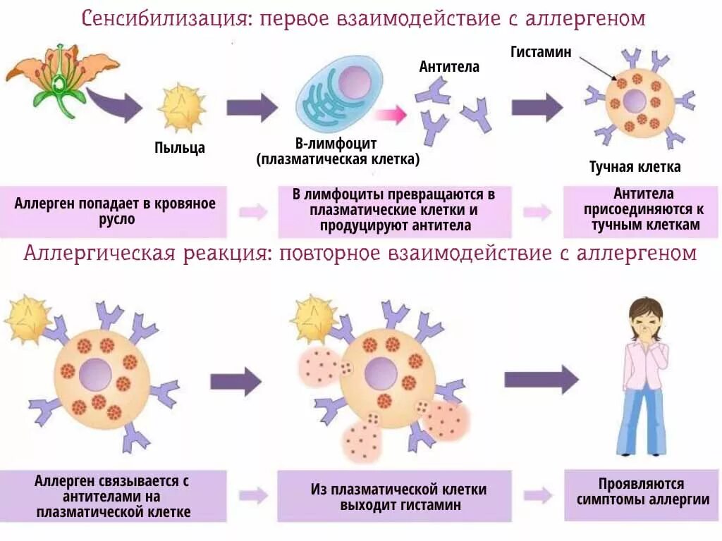 Какие есть аллергические реакции