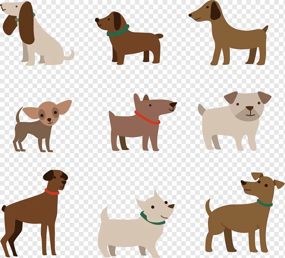 Flat dog