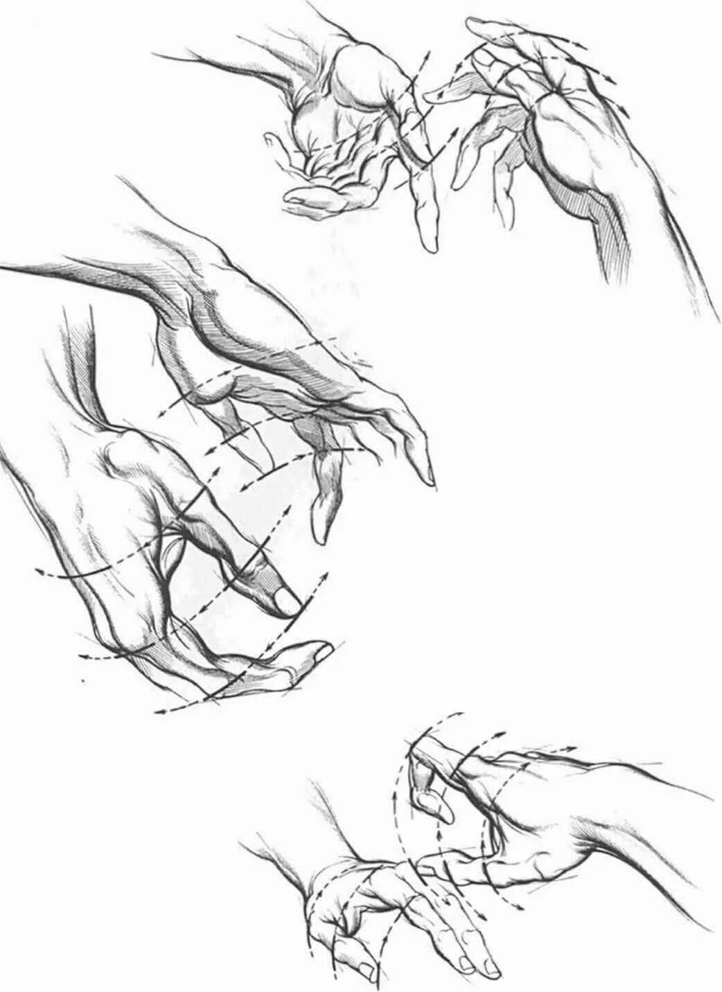 Руки референс анатомия кисти. Зарисовки кистей рук. Анатомия рук для рисования. Наброски рук.