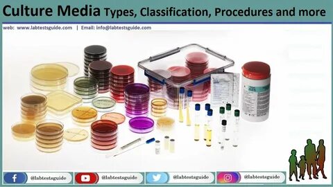 Culture media