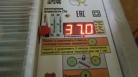 Инкубатор блиц температура