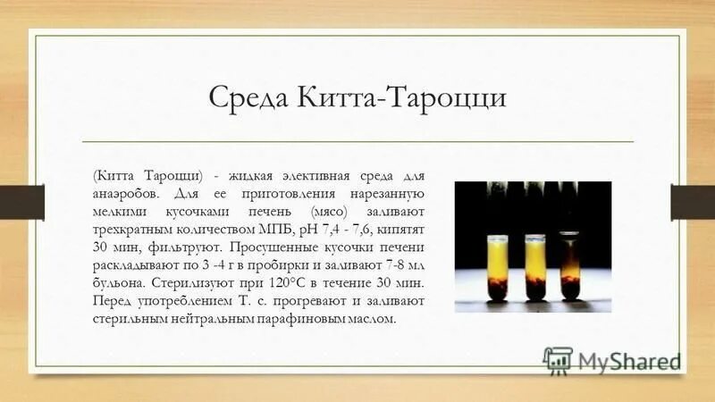 Среда своих. Среда китта тароцци. среда китта-тароцци состав. жидкая среда китта-тароцци. китта тароцци тип среды.