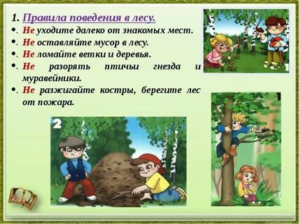 Урок по теме безопасное поведение в горах