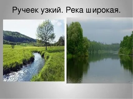 Она не широкая