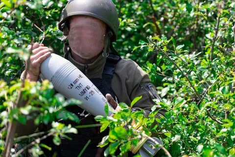 Боевые герани