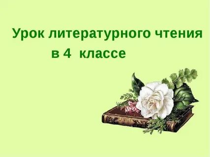 Литературное чтение сказка о жабе и розе
