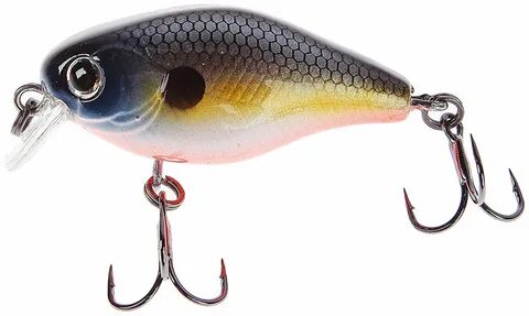 Tsuyoki chef 38f