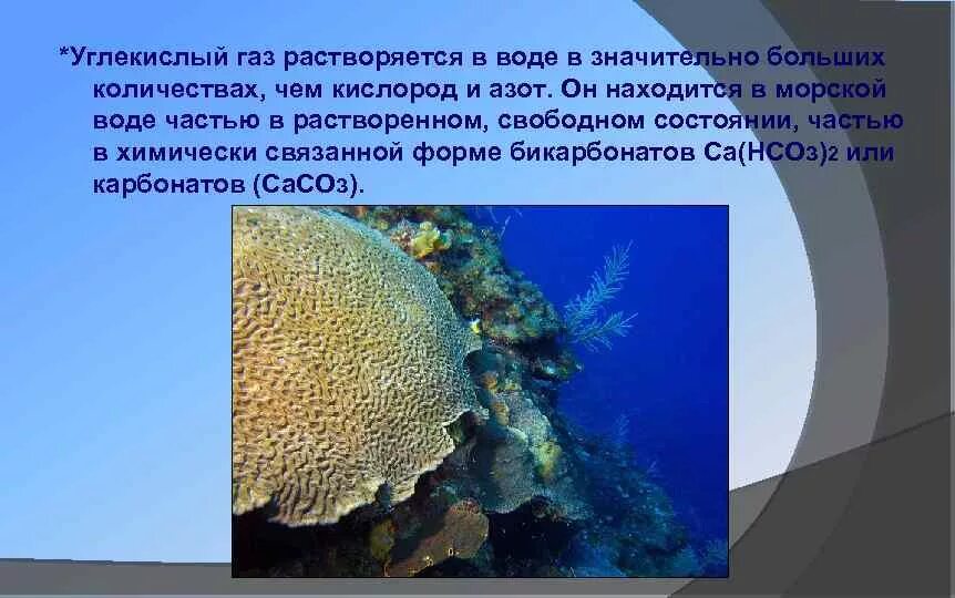 Углекислота растворенная в воде. Растворимость углекислого газа в воде. Растворение углекислого газа в воде. Углекислый ГАЗ растворим в воде. Какие газы растворимы в воде