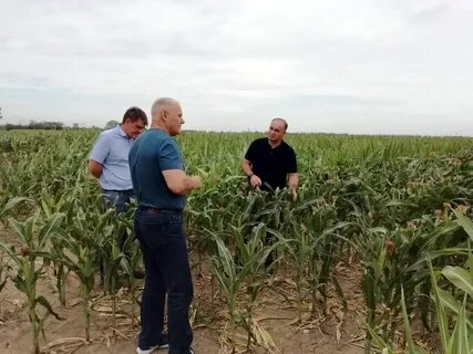 Агрохолдинг ставропольский край