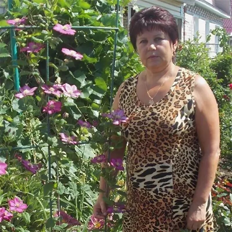 Вад дам. Вад дам