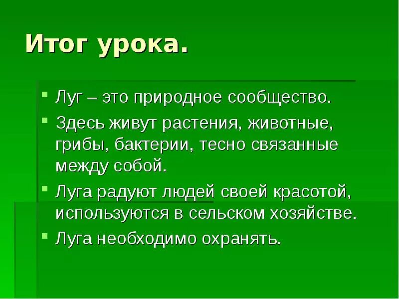 Итоги 4 класса. Луг презентация. Презентация на тему луг. Презентация на тему сообщество луг. Жизнь Луга.