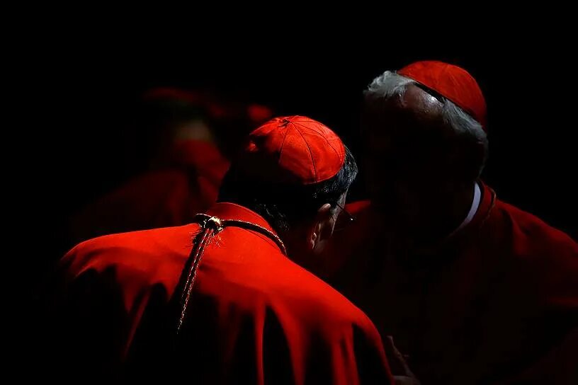 канадский кардинал птица.