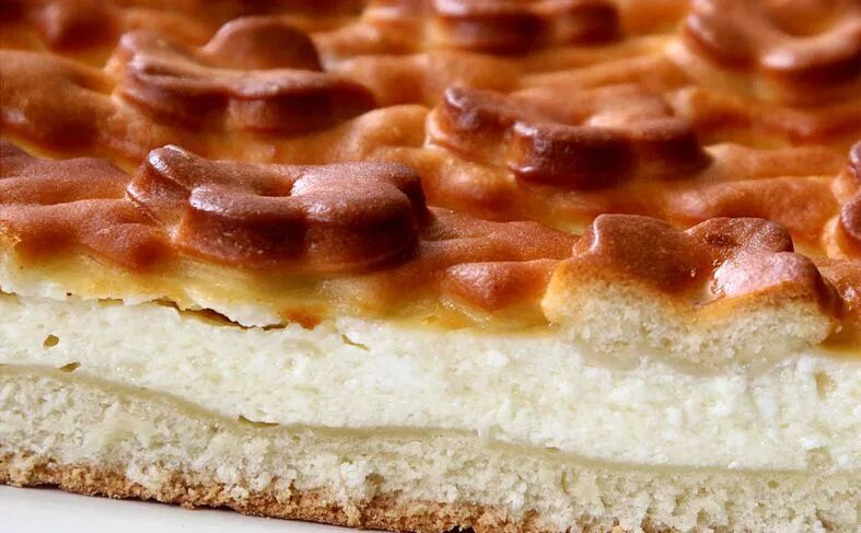 творожный пирог. творожный пирог с творогом. пирог со сливами и творогом. печь пирог с творогом. пирог из песочного теста с творогом.