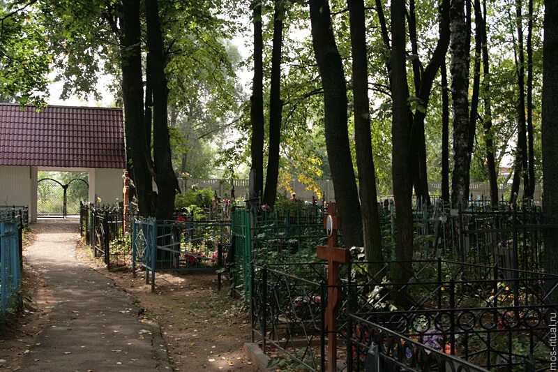 посетители кладбища. кладбище фото. троица кладбище. троица кладбище. на троицу ходят на кладбище.