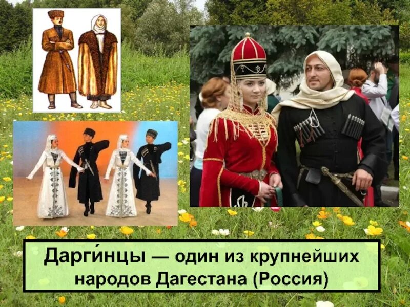 Народы России даргинцы. Народы Дагестана даргинцы. Даргинцы национальный костюм. Даргинцы презентация. Традиции даргинцев