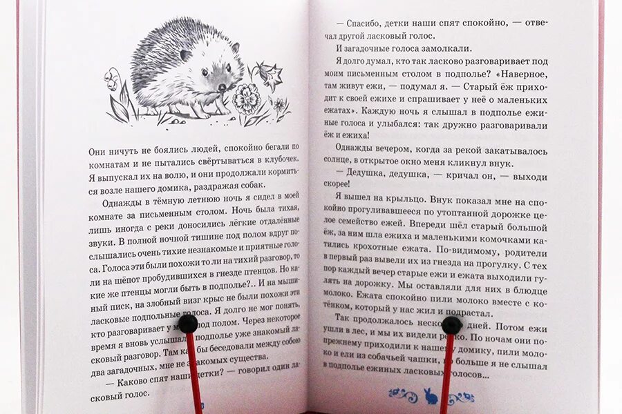 Однажды вечером я сидел на своей. Диктант однажды. Диктант летняя ночь. Однажды в летнюю ночь я сидел диктант. Диктант Ежи.