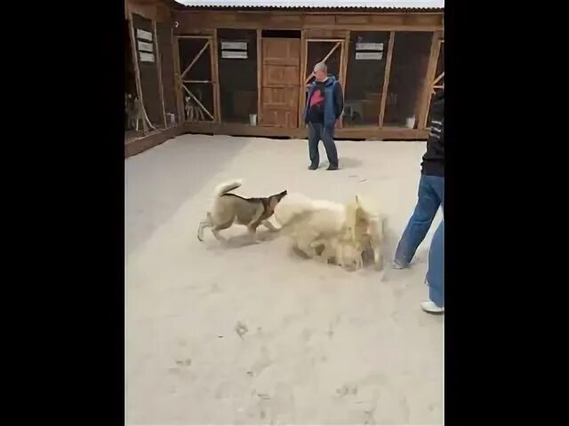 Подслушано в воронеже в контакте. Ошка парк открытие. Ошка парк. Ошка парк Воронеж картинки.