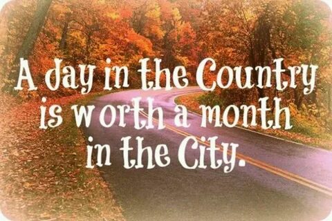 Life in months