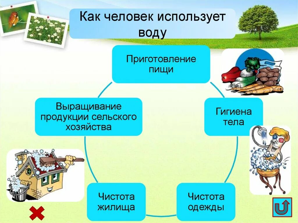 Для каких целей нужна вода. Как человек использует воду. Как используется вода человеком. Использование воды человеком в быту. Где человек использует воду.