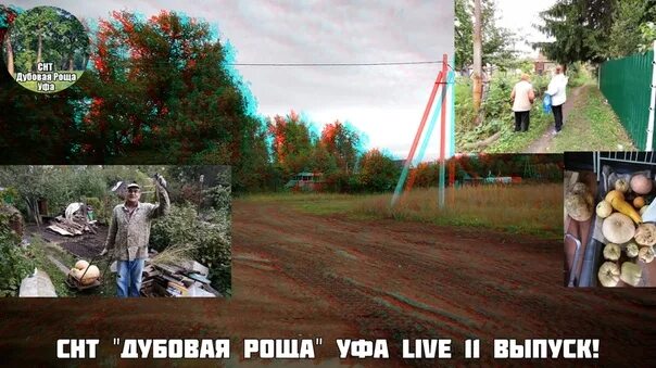 Снт дубовая роща уфа. Снт дубовая роща оренбург. Уфа дубовые рощи. Снт дубовая роща уфа. Снт дубовая роща уфа игры.