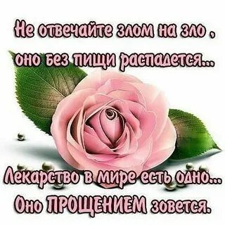 Прости 8