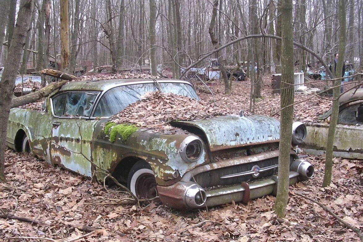 Тяжелая жизнь старых. Заброшенные автомобили. Старые заброшенные машины. Старая сломанная машина. Заброшенные машины в лесу.
