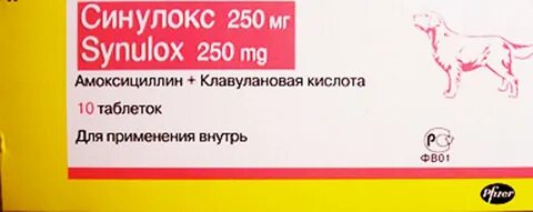 Синулокс 250 мг для собак