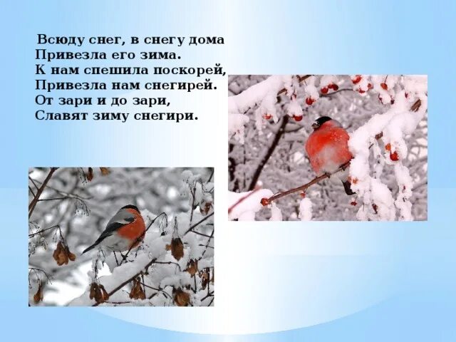Зима зима пришла. Стих всюду снег в снегу дома. Бродский всюду снег в снегу дома. Пришла зима всюду большие сугробы. Стихотворение снег снег.