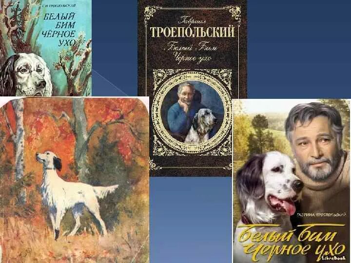 Произведение бим черное ухо. Белый Бим черное ухо (1976). Троепольский г.н. «белый Бим черное ухо» книга с 3д. Белый Бим черное ухо (1976) Постер.