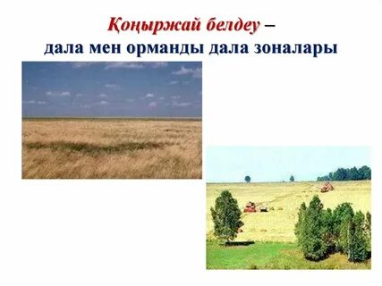 Жалаңаш орыс әйелінің порнографиялық суреттері