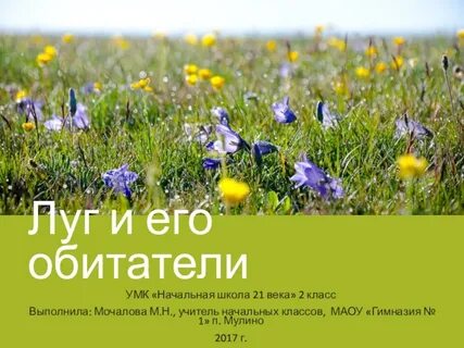 Жители луга