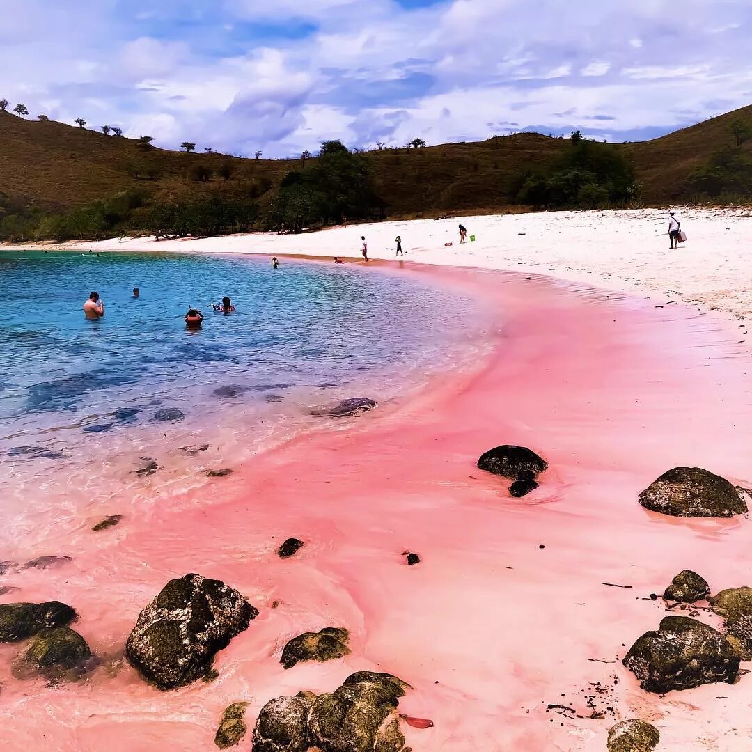 Розовый пляж на острове Комодо Индонезия. Розовый пляж. Остров Харбор, Багамы. Пинк-Сэндс-Бич, Багамские острова. Розовый пляж Пинк Сэндс Бич, Багамские острова. Harbor island