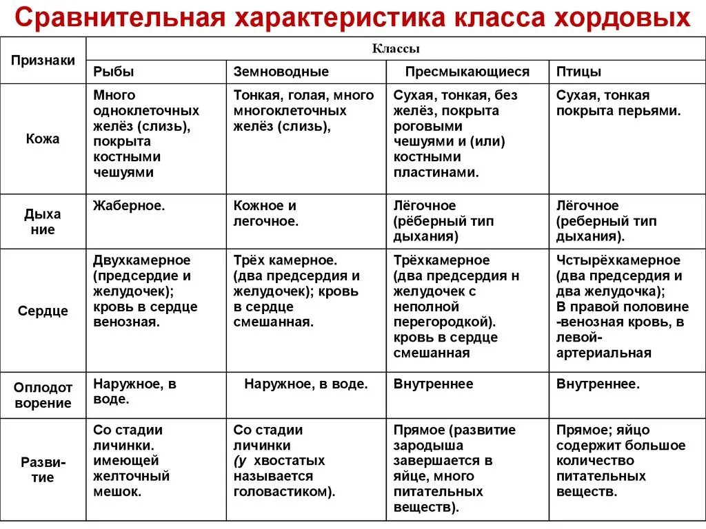 Таблица по биологии 7 класс сравнительная характеристика хордовых. Таблица по биологии 7 класс хордовых животных. Характеристика класса хордовых животных таблица. Сравнительная характеристика класса хордовых таблица 7 класс. Укажите главные черты сходства и различия птиц