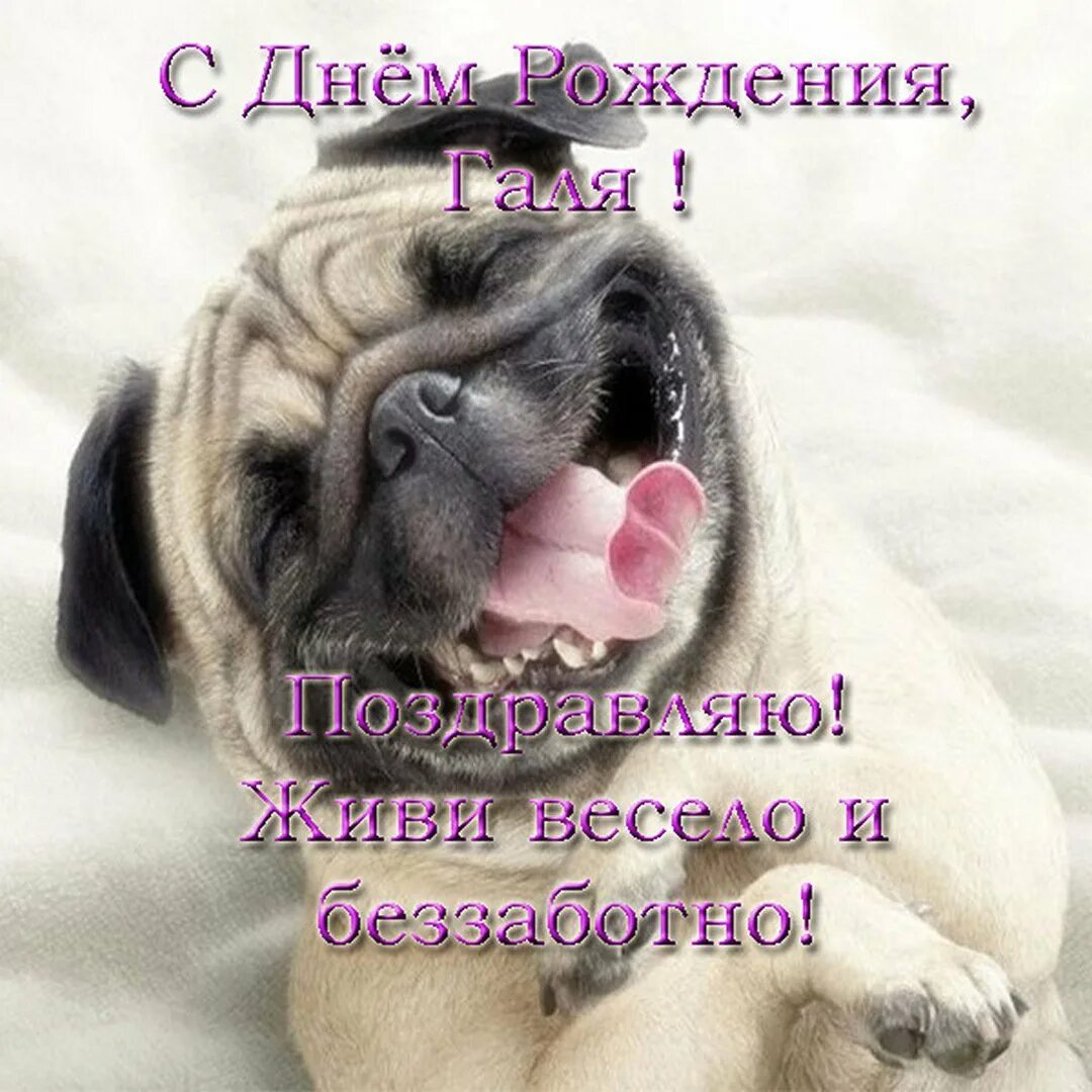 Поздравления с днём рождения. С днём рождения отервтки. Открытка с днем рождения галя прикольные. Роздавлення с днем рождения галине. Поздравления с днём рождения галине.